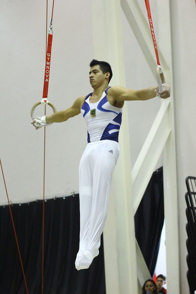 Gimnasia Olimpica Merida - Tipos de Gimnasia