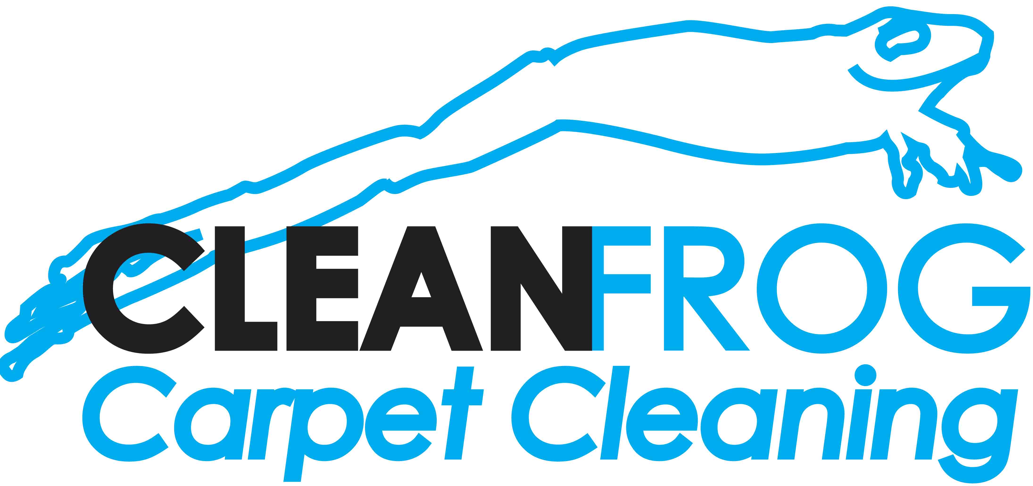 Clean Frog Carpet Cleaning Querétaro