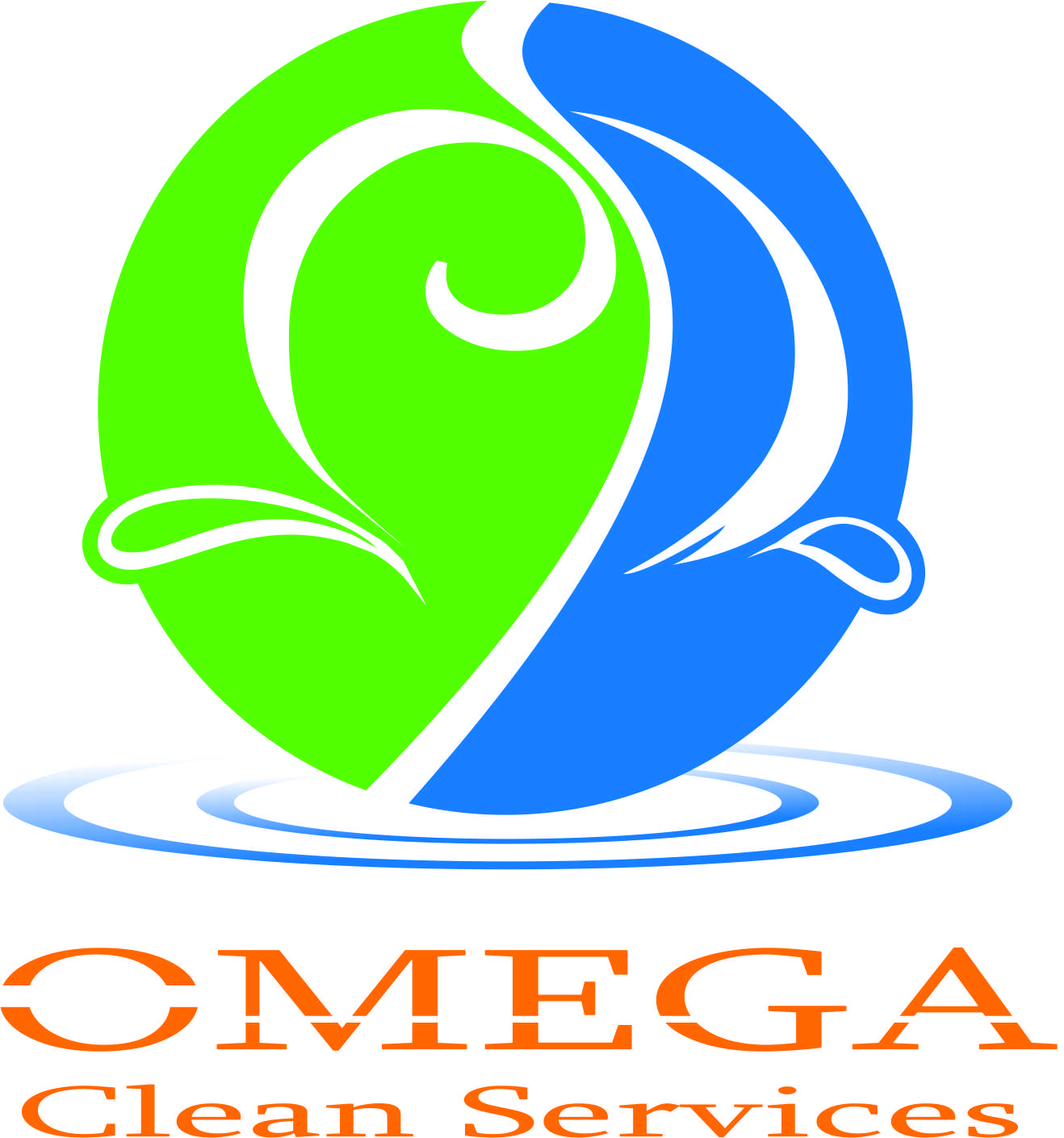 Omega Clean Services Saltillo